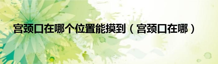 宮頸口在哪個位置能摸到（宮頸口在哪）