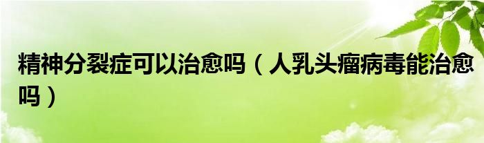 精神分裂癥可以治愈嗎(人乳頭瘤病毒能治愈嗎)