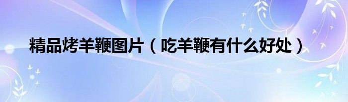 精品烤羊鞭圖片（吃羊鞭有什么好處）