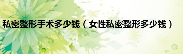 私密整形手術(shù)多少錢（女性私密整形多少錢）
