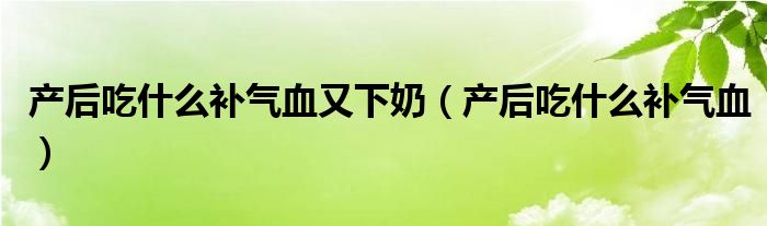 產(chǎn)后吃什么補(bǔ)氣血又下奶(產(chǎn)后吃什么補(bǔ)氣血)
