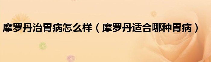 摩羅丹治胃病怎么樣（摩羅丹適合哪種胃?。?class='thumb lazy' /></a>
		    <header>
		<h2><a  href=