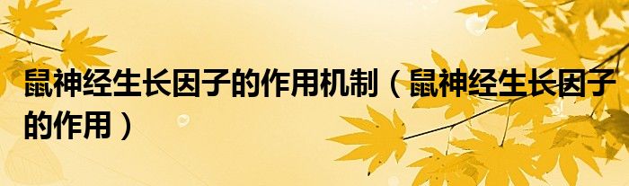 鼠神經(jīng)生長因子的作用機(jī)制(鼠神經(jīng)生長因子的作用)
