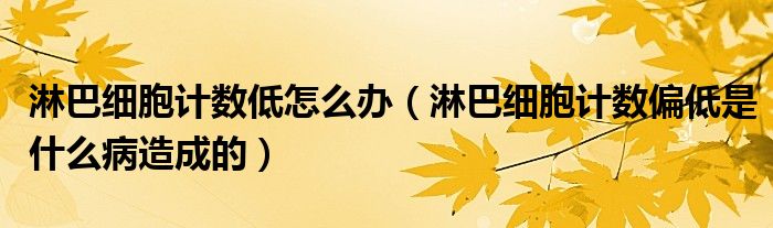 淋巴細胞計數(shù)低怎么辦（淋巴細胞計數(shù)偏低是什么病造成的）