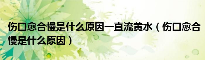 傷口愈合慢是什么原因一直流黃水(傷口愈合慢是什么原因)