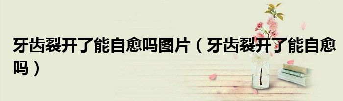 牙齒裂開了能自愈嗎圖片(牙齒裂開了能自愈嗎)