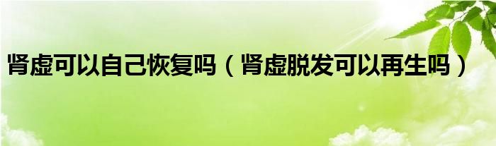 腎虛可以自己恢復(fù)嗎(腎虛脫發(fā)可以再生嗎)