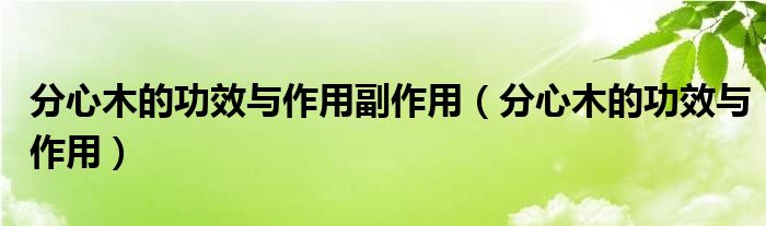 分心木的功效與作用副作用（分心木的功效與作用）
