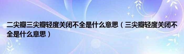 二尖瓣三尖瓣輕度關閉不全是什么意思（三尖瓣輕度關閉不全是什么意思）