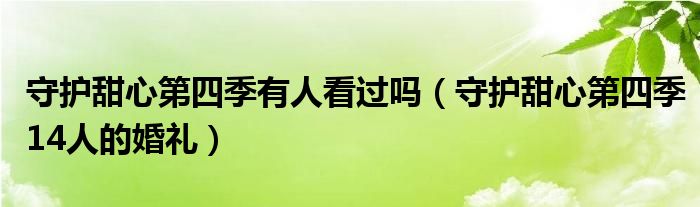 守護(hù)甜心第四季有人看過嗎（守護(hù)甜心第四季14人的婚禮）