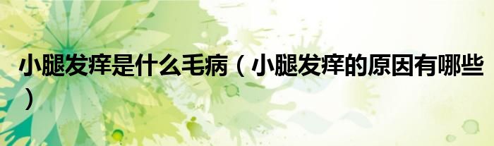 小腿發(fā)癢是什么毛?。ㄐ⊥劝l(fā)癢的原因有哪些）