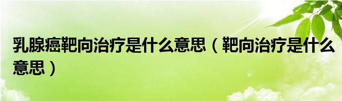 乳腺癌靶向治療是什么意思（靶向治療是什么意思）