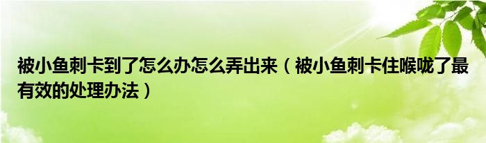 被小魚(yú)刺卡到了怎么辦怎么弄出來(lái)(被小魚(yú)刺卡住喉嚨了最有效的處理辦法)
