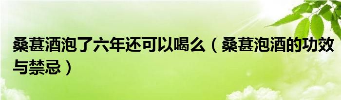 桑葚酒泡了六年還可以喝么（桑葚泡酒的功效與禁忌）