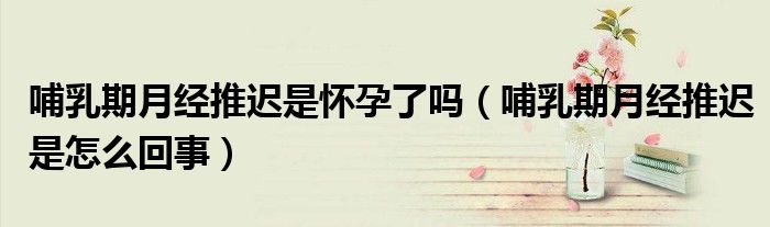 哺乳期月經(jīng)推遲是懷孕了嗎(哺乳期月經(jīng)推遲是怎么回事)