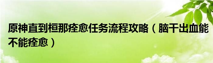 原神直到桓那痊愈任務(wù)流程攻略(腦干出血能不能痊愈)