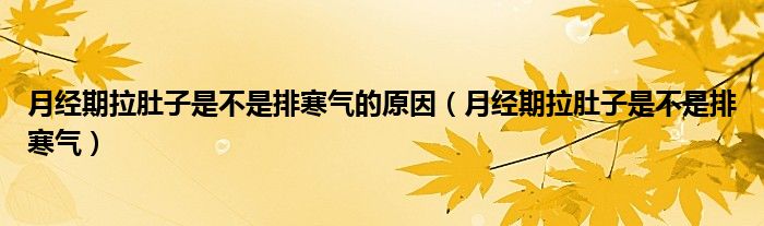 月經(jīng)期拉肚子是不是排寒氣的原因(月經(jīng)期拉肚子是不是排寒氣)