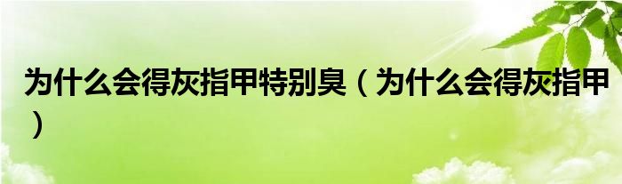為什么會(huì)得灰指甲特別臭(為什么會(huì)得灰指甲)