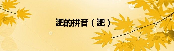淝的拼音（淝）