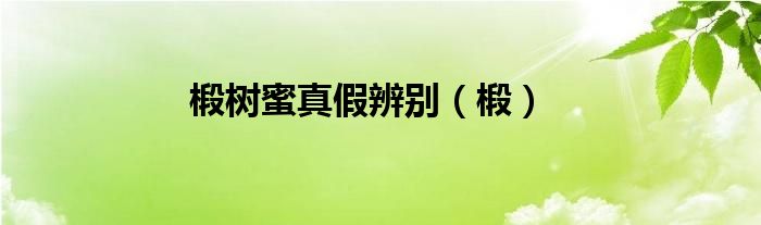 椴樹蜜真假辨別（椴）