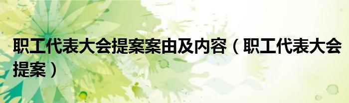 職工代表大會提案案由及內(nèi)容（職工代表大會提案）