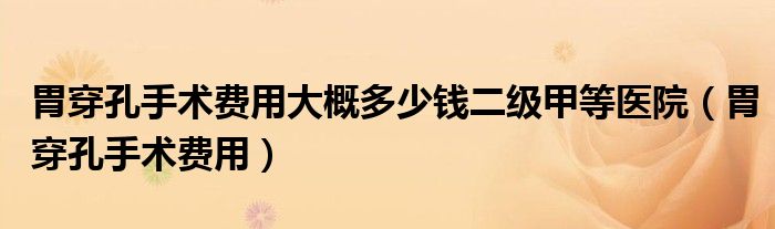 胃穿孔手術(shù)費用大概多少錢二級甲等醫(yī)院(胃穿孔手術(shù)費用)