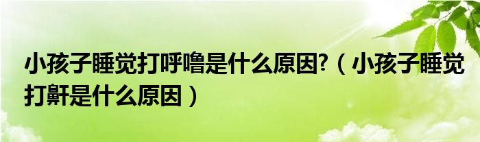 小孩子睡覺打呼嚕是什么原因?（小孩子睡覺打鼾是什么原因）