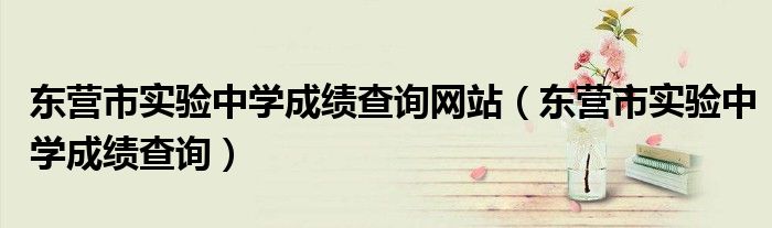 東營市實(shí)驗(yàn)中學(xué)成績查詢網(wǎng)站（東營市實(shí)驗(yàn)中學(xué)成績查詢）