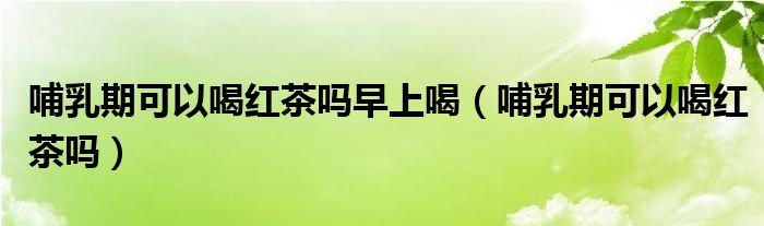 哺乳期可以喝紅茶嗎早上喝(哺乳期可以喝紅茶嗎)