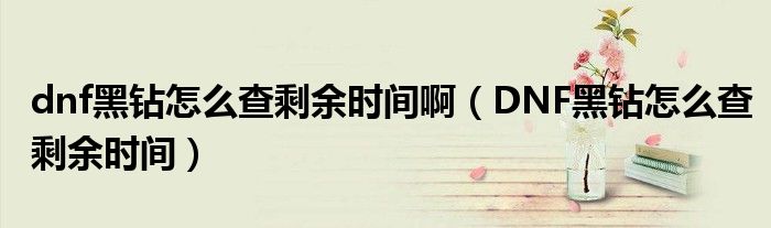 dnf黑鉆怎么查剩余時間啊（DNF黑鉆怎么查剩余時間）