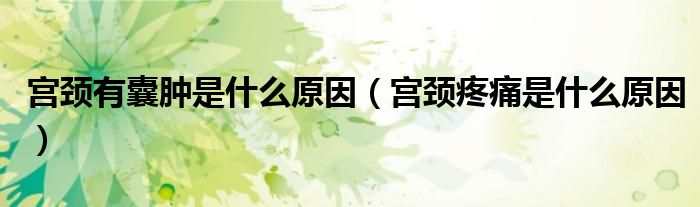 宮頸有囊腫是什么原因(宮頸疼痛是什么原因)