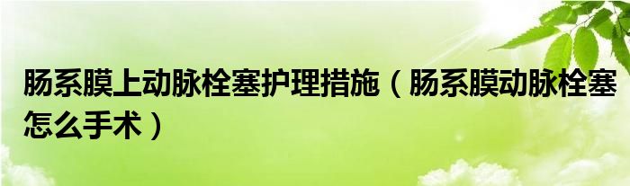 腸系膜上動脈栓塞護理措施（腸系膜動脈栓塞怎么手術）