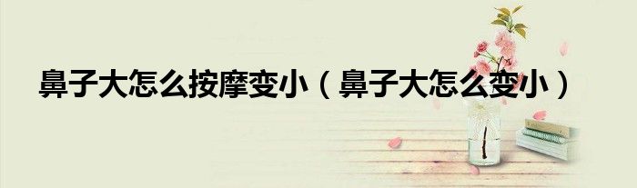 鼻子大怎么按摩變小（鼻子大怎么變?。?class='thumb lazy' /></a>
		    <header>
		<h2><a  href=