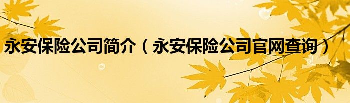 永安保險公司簡介（永安保險公司官網(wǎng)查詢）