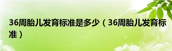 36周胎兒發(fā)育標(biāo)準(zhǔn)是多少(36周胎兒發(fā)育標(biāo)準(zhǔn))