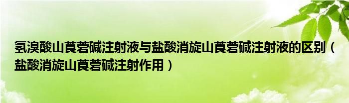 氫溴酸山莨菪堿注射液與鹽酸消旋山莨菪堿注射液的區(qū)別(鹽酸消旋山莨菪堿注射作用)