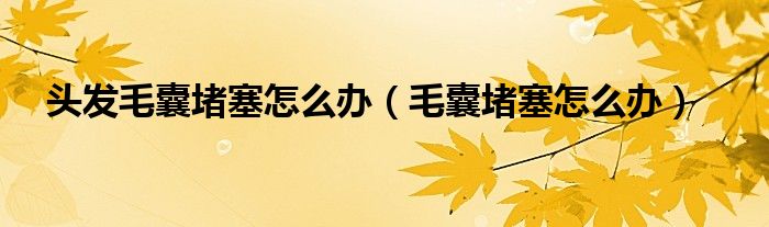 頭發(fā)毛囊堵塞怎么辦(毛囊堵塞怎么辦)
