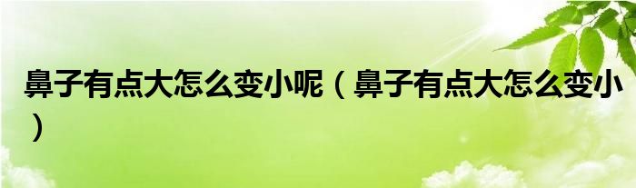 鼻子有點大怎么變小呢（鼻子有點大怎么變?。? /></span>
		<span id=