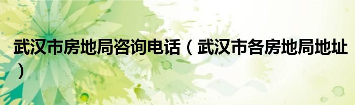 武漢市房地局咨詢電話（武漢市各房地局地址）