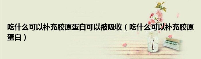 吃什么可以補充膠原蛋白可以被吸收(吃什么可以補充膠原蛋白)