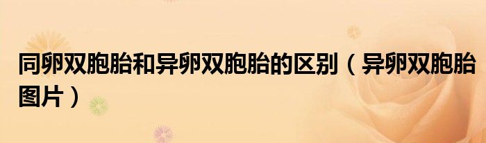 同卵雙胞胎和異卵雙胞胎的區(qū)別（異卵雙胞胎圖片）