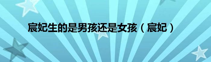 宸妃生的是男孩還是女孩（宸妃）