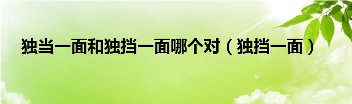 獨(dú)當(dāng)一面和獨(dú)擋一面哪個(gè)對（獨(dú)擋一面）
