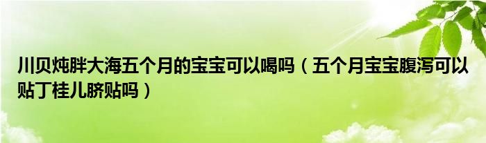 川貝燉胖大海五個(gè)月的寶寶可以喝嗎（五個(gè)月寶寶腹瀉可以貼丁桂兒臍貼嗎）