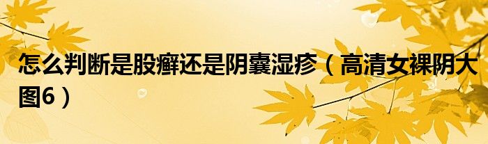 怎么判斷是股癬還是陰囊濕疹（高清女裸陰大圖6）