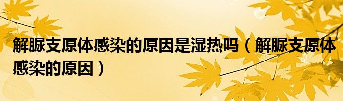 解脲支原體感染的原因是濕熱嗎(解脲支原體感染的原因)
