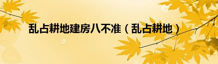 亂占耕地建房八不準(zhǔn)（亂占耕地）