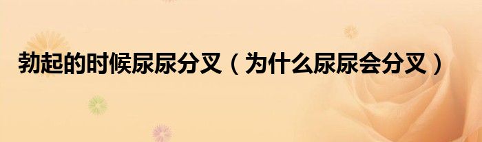 勃起的時(shí)候尿尿分叉(為什么尿尿會(huì)分叉)