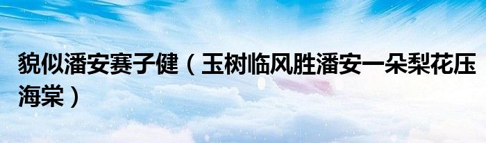 貌似潘安賽子?。ㄓ駱渑R風(fēng)勝潘安一朵梨花壓海棠）