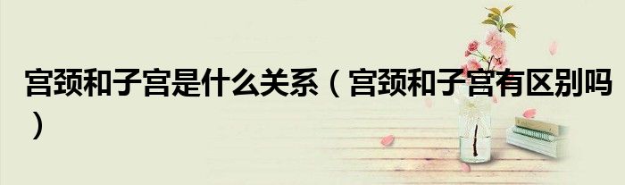 宮頸和子宮是什么關(guān)系（宮頸和子宮有區(qū)別嗎）